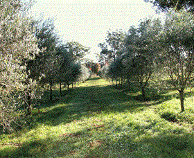 Langdale Farm - Events Australia