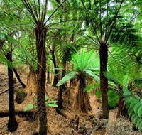 Pegarah Private Nature Reserve  Parenna Place - Events Australia