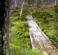 Gloucester Tops circuit - Tourism Bookings