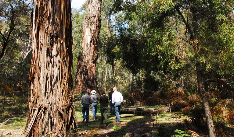 Araluen NSW Events Australia