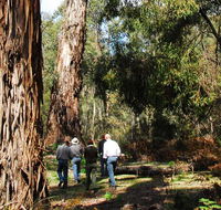 Tallaganda National Park - Events Australia