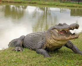 Hunter Valley Zoo - Events Australia 1