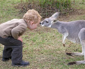 Hunter Valley Zoo - Events Australia 3