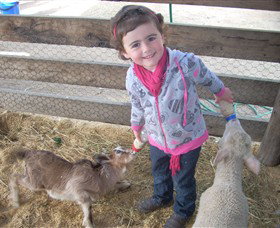 Hunter Valley Zoo - Events Australia 4