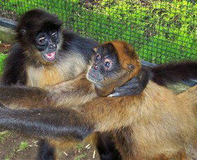 Hunter Valley Zoo - Events Australia 5