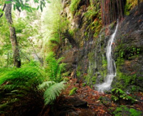 Fairy Bower Falls - Events Australia 0