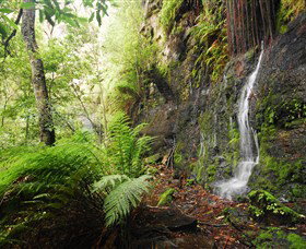 Fairy Bower Falls - Events Australia 2