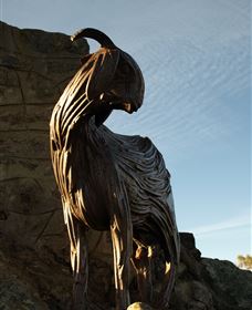 Nanny Goat Hill Lookout - Events Australia 0