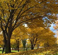 Centennial Park at Cooma - Events Australia