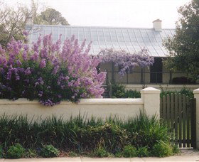 Lambie Town Walk - Events Australia 4