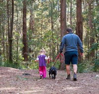 Olney State Forest - Watagan Mountains - Events Australia