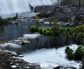 Chichester Dam - Tourism Bookings 1