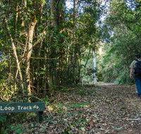 Basin Loop track - Tourism Bookings