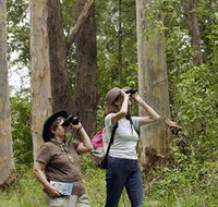Chichester State Forest - Events Australia