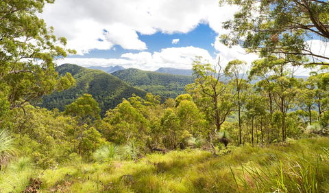 Toonumbar National Park - Events Australia 0