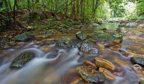 Toonumbar National Park - Events Australia 1