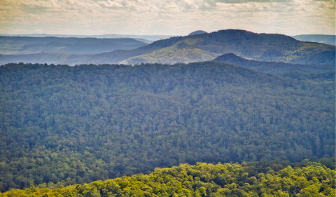 Murray Scrub Lookout - Events Australia 1