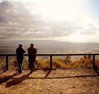 Heaton State Forest - Watagan Mountains - Events Australia