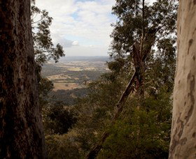 Heaton State Forest - Watagan Mountains - Events Australia 1