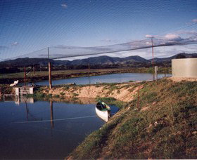 Trudgalong Farm - Events Australia 1