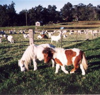 Trudgalong Farm - Tourism Bookings