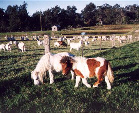 Trudgalong Farm - Events Australia 0