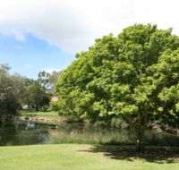 Hervey Bay Botanic Gardens - Events Australia