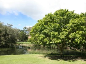 Hervey Bay Botanic Gardens - Events Australia 0