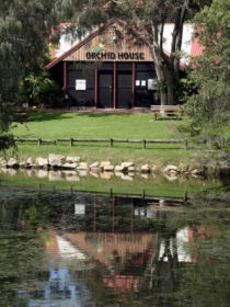 Hervey Bay Botanic Gardens - Events Australia 1