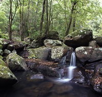 Kangaroo River - Events Australia