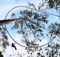 TreeTops Crazy Rider - Events Australia