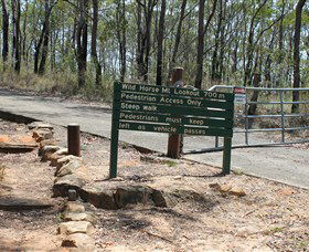 Wild Horse Mountain Lookout - Events Australia 0