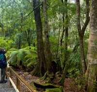 Monga National Park - Events Australia