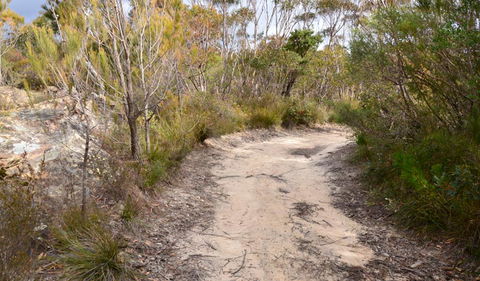 Cambewarra Range Nature Reserve - Events Australia 1