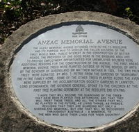 Anzac Memorial Avenue Redcliffe - Events Australia