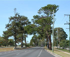 Anzac Memorial Avenue, Redcliffe - Events Australia 2