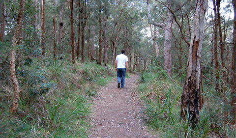 Lake Macquarie State Conservation Area - Events Australia 3