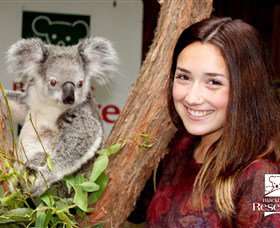 New Lambton NSW Events Australia