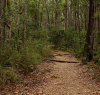 Pigeon House Mountain Didthul walking track - Events Australia
