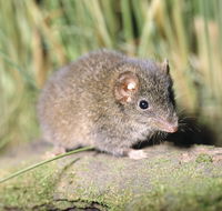 Munmorah State Conservation Area - Events Australia