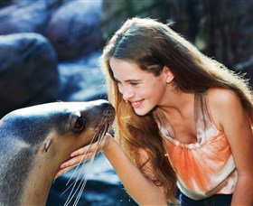 Sea Life Sunshine Coast - Events Australia 1