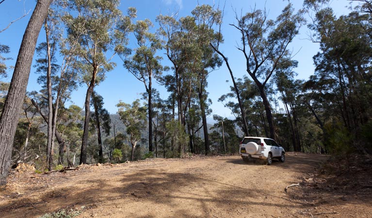 Wadbilliga NSW Tourism Bookings