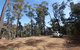 Wadbilliga Road Drive - thumb 0