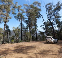 Wadbilliga Road drive - Tourism Bookings