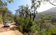 Wadbilliga Road Drive - thumb 1