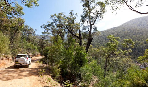 Wadbilliga Road Drive - Tourism Bookings 1
