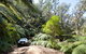 Wadbilliga Road Drive - thumb 3