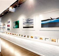 Aquabumps - Events Australia