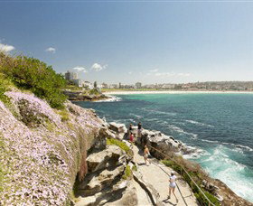 Bondi To Coogee Coastal Walk - Events Australia 3