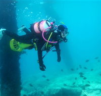 Shellharbour Scuba  Photography Centre - Events Australia